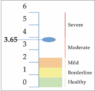 Brain Injury Severity Scale