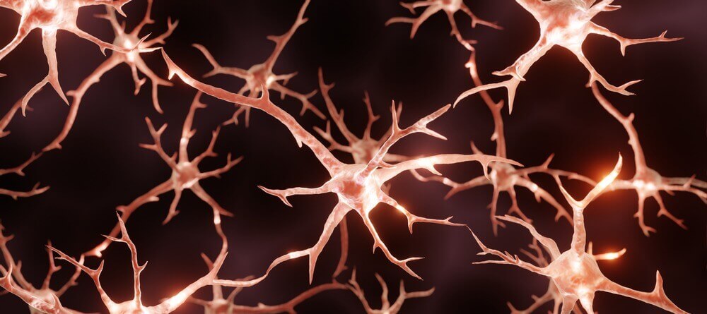 Exercise promotes neuroplasticity