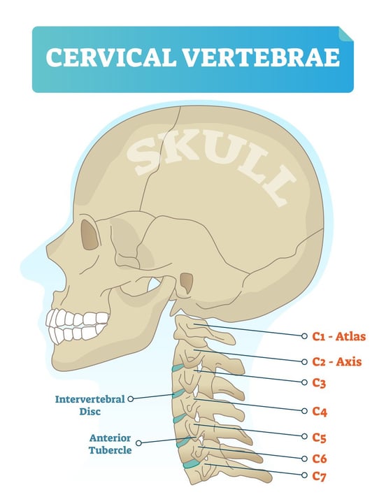 Can a Chiropractor Help with Post-Concussion Syndrome 2