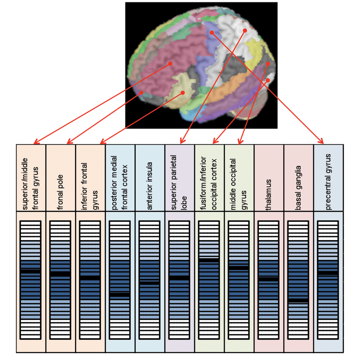 Neurocognitive Assessment & Rehabilitation Cognitive FX