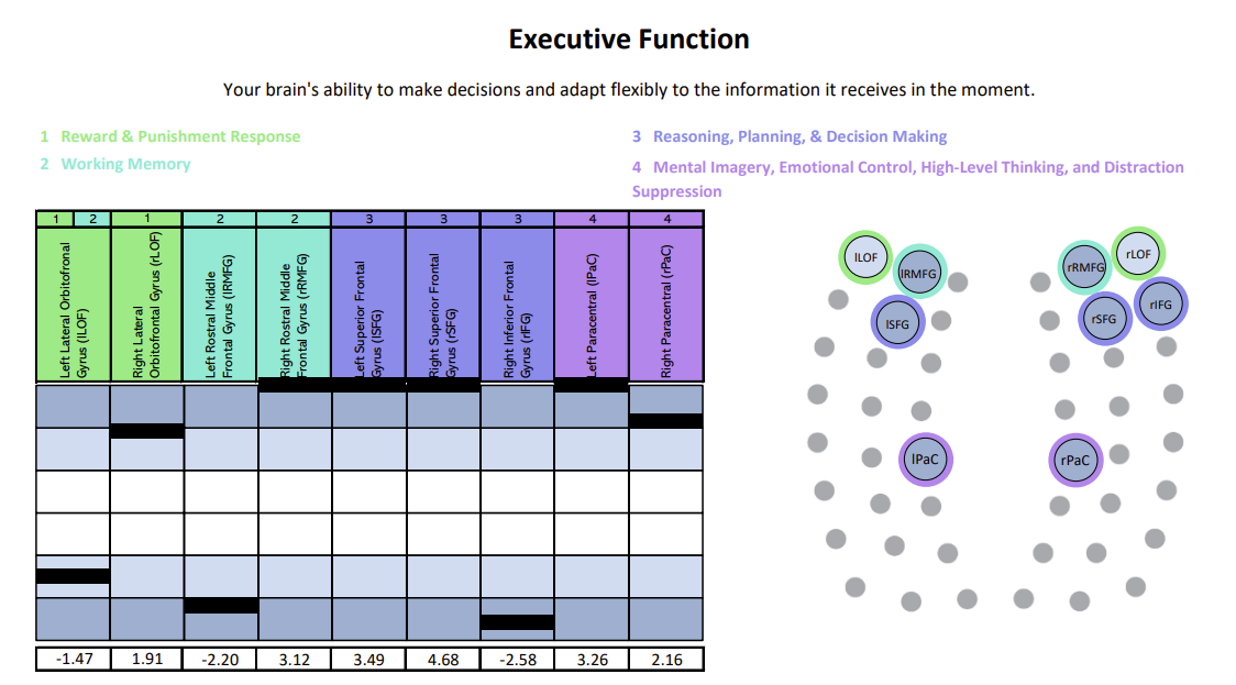 Executive Function: Your brain's ability to make decisions and adapt flexibly to the info it receives in the moment.