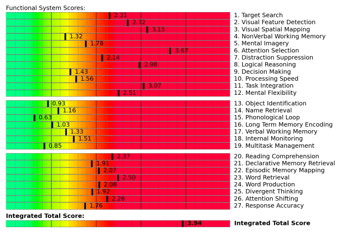 Functional System Scores example (prior to treatment)