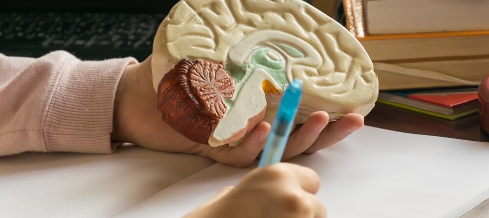 Understanding how doctors talk about brain injury will help you understand your diagnosis.