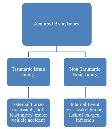 Definition and types of acquired brain injuries. 