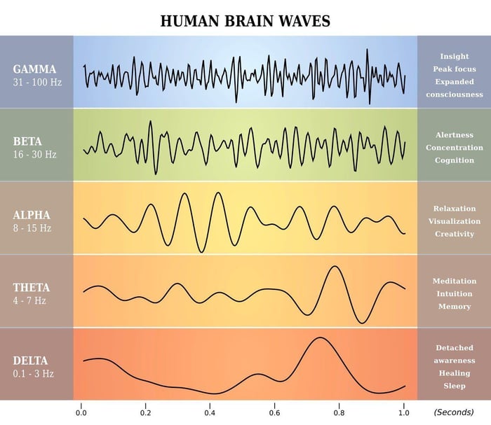 Human Brain Waves: Gamma, Beta, Alpha, Theta, Delta