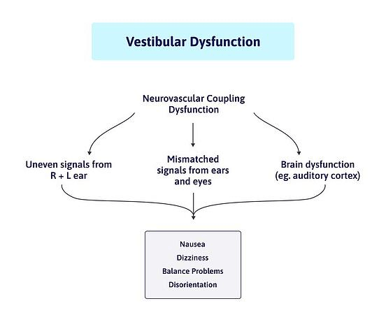 Vestibular dysfunction infographic. 