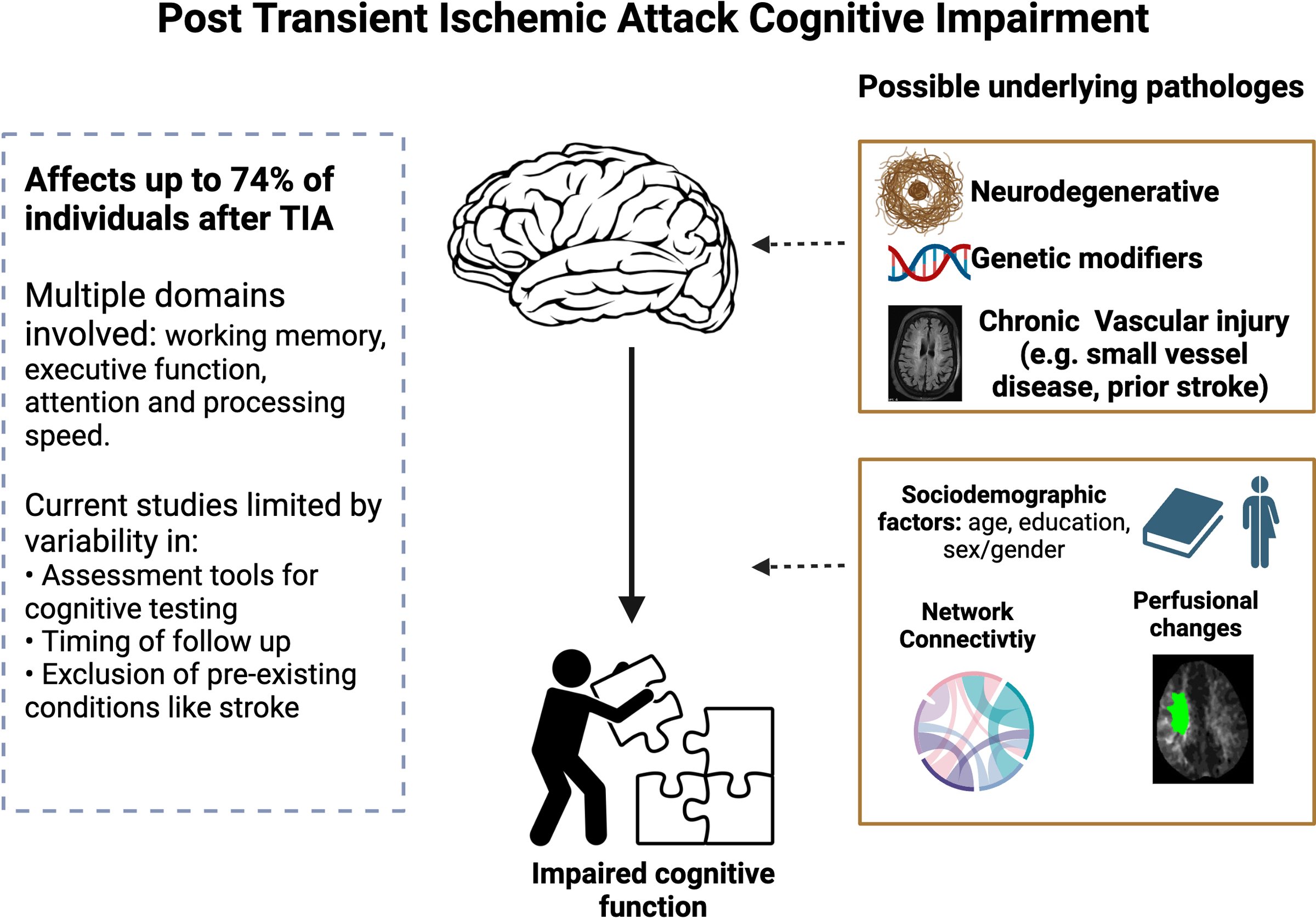 TIA Summary https://www.ahajournals.org/doi/10.1161/STROKEAHA.124.046821?doi=10.1161/STROKEAHA.124.046821