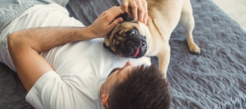 Man playing with a puppy. 