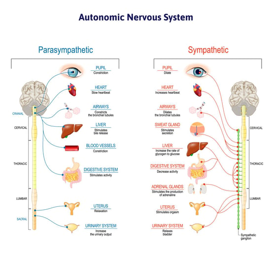 Why Most Post-Trauma Vision Syndrome Treatment Falls Short (8)v