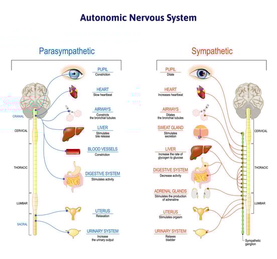 Yes, COVID Affects the Nervous System (& What to Do About It) (7)-1
