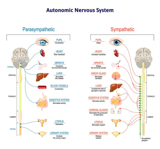 Yes, COVID Affects the Nervous System (& What to Do About It) (7)-1