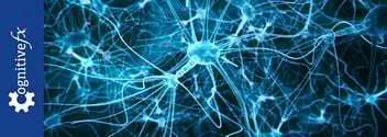 Accelerated TMS Therapy: Complete Treatment Overview
