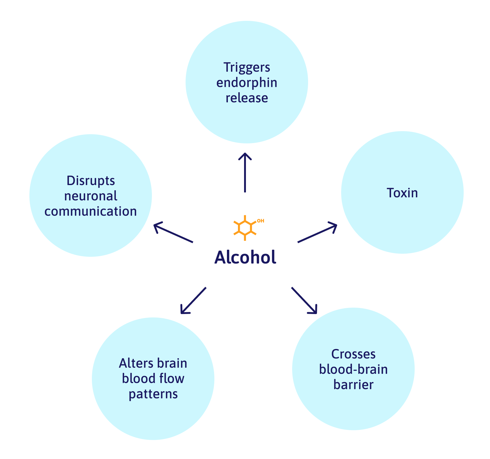 Truth About Alcohol, Caffeine, & Concussion Recovery Cognitive FX
