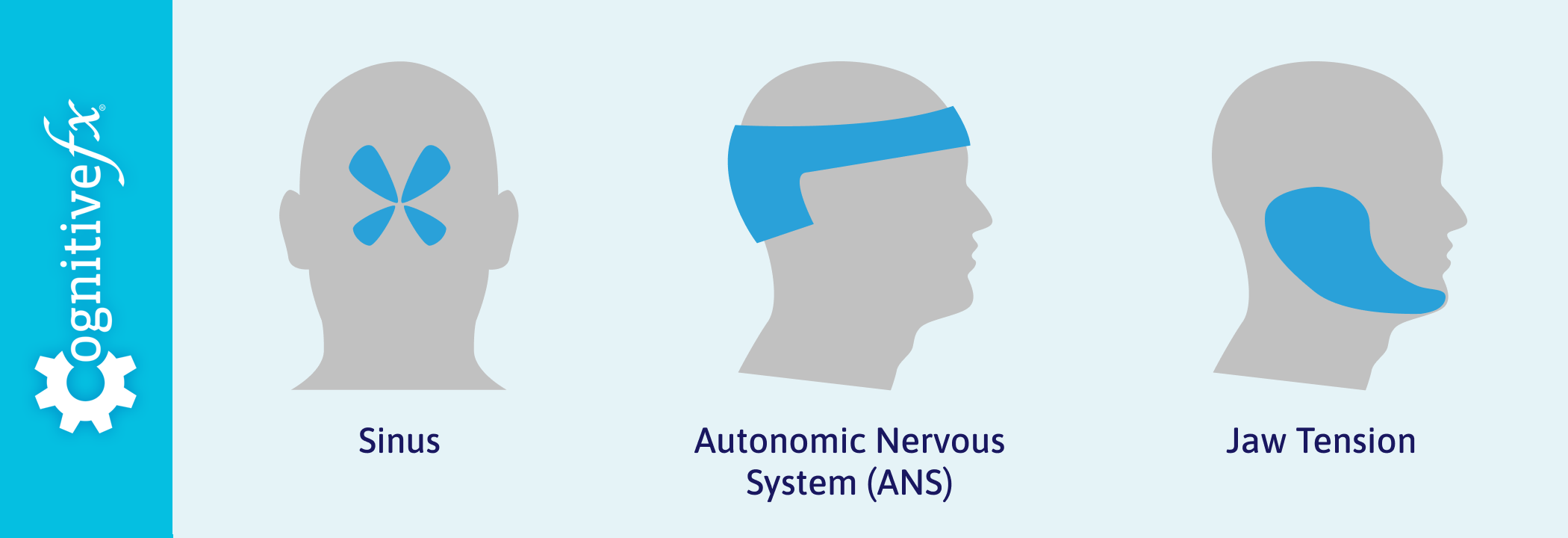 Post Concussion Headaches Causes Treatment Options