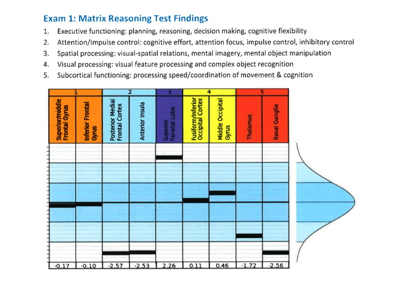 Exam 1: Matrix Reasoning Test Findings