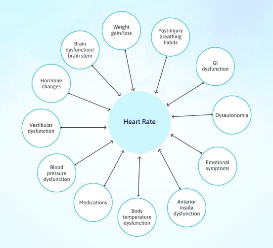 cognitivefxusa.comblogconcussion-heart-rate-increase-palpitations-and-variability-3
