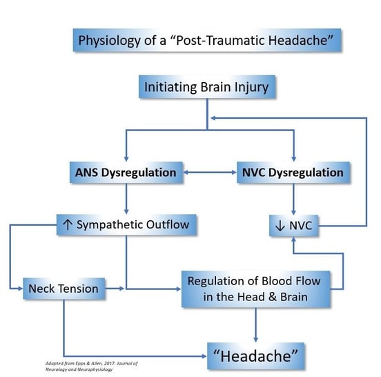 concussion-headaches-and-post-concussion-headaches-6