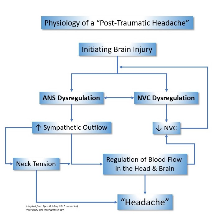 Concussion Headaches Or Post Traumatic Headaches Cognitive Fx
