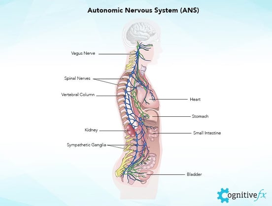 concussion-loss-of-appetite-and-other-stomach-problems-1