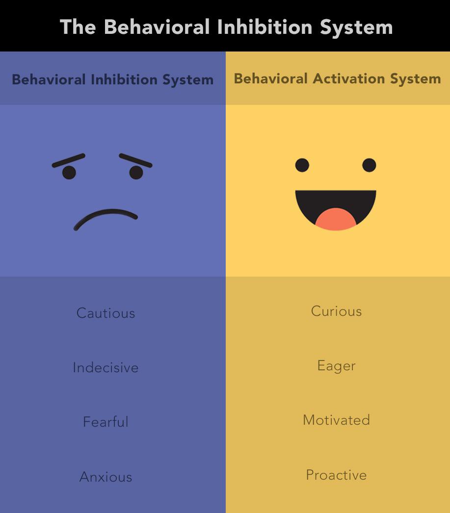 An overactivated behavioral inhibition system can result in depression after a concussion.