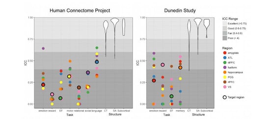 fmri-brain-scans-duke-study-implications-3