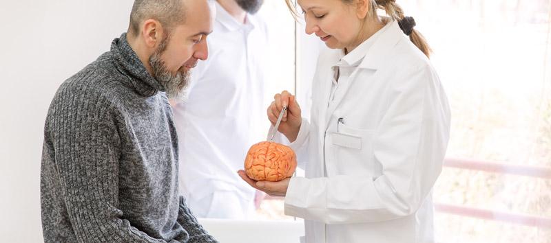 A doctor is holding a plastic brain in her hand and using a pen to point out a certain part of the brain to the patient.