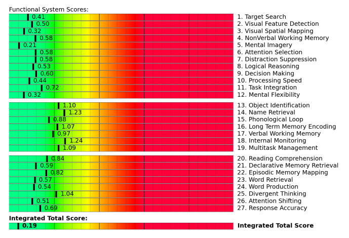  Functional system scores.