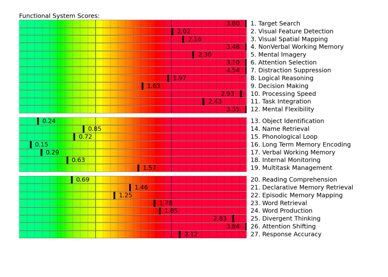 Functional System Scores for a stroke patient