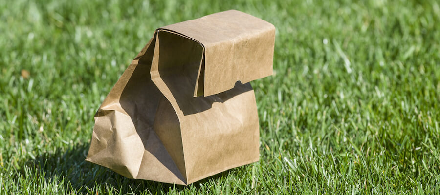 A brown paper bag sack lunch on the grass