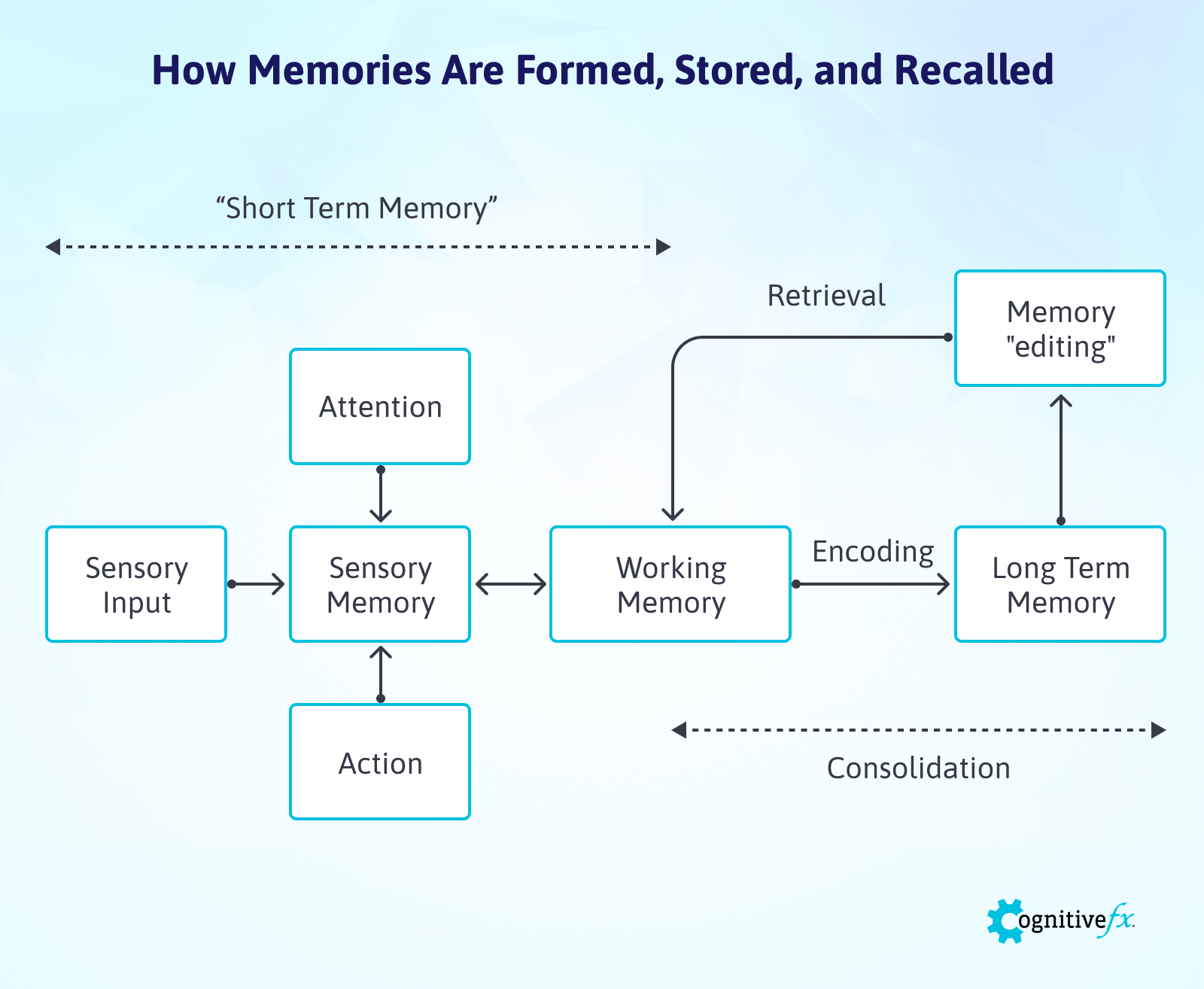 gabapentin long term memory loss