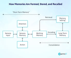 Post-concussion Memory Loss: Recovery Stories & FAQs | Cognitive FX
