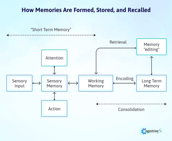 Memory Loss after an Auto Accident