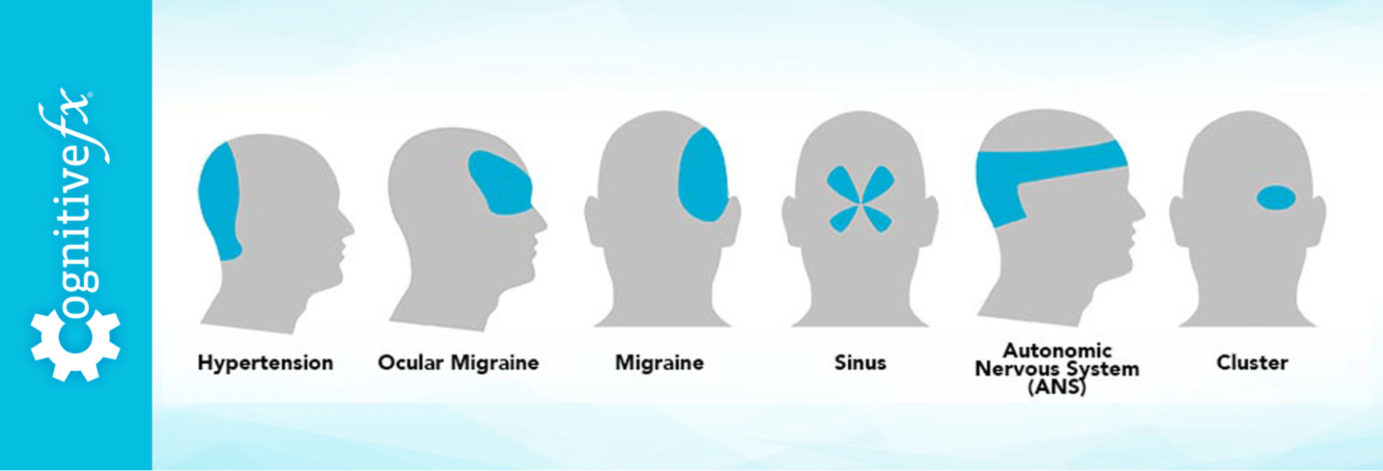 Hypertension, ocular migraine, migraine, sinus, and more