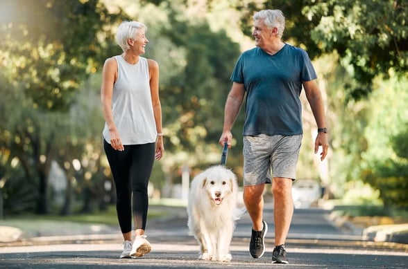 A man and woman are walking their dog