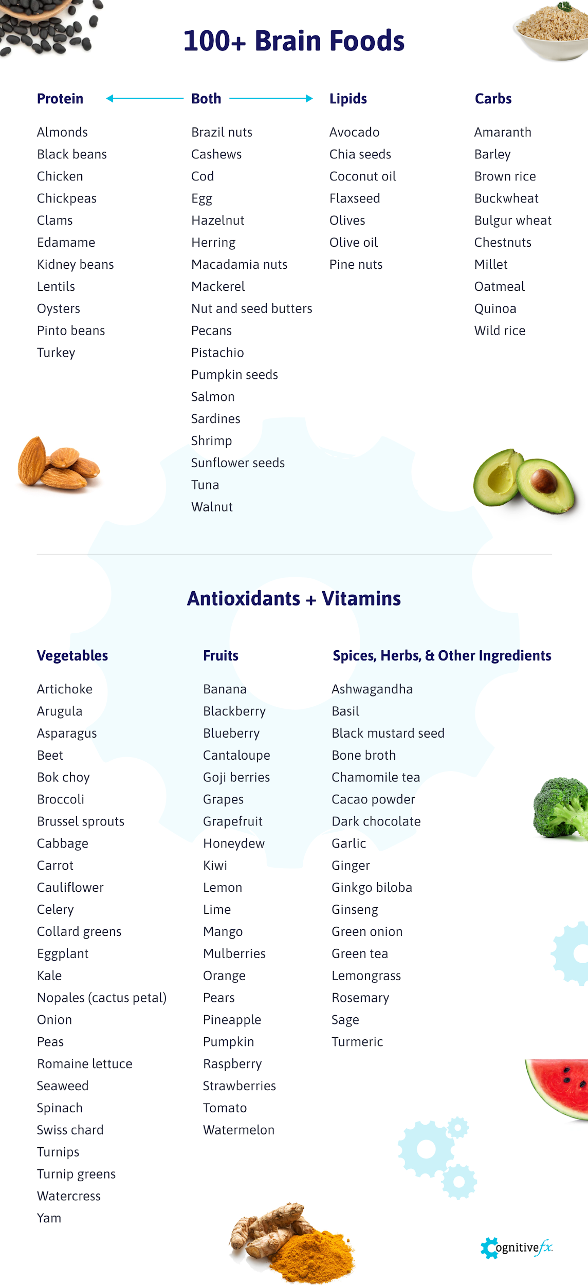 A list showing over 100 Brain Foods including proteins, lipids, carbs, antioxidants, and vitamins.