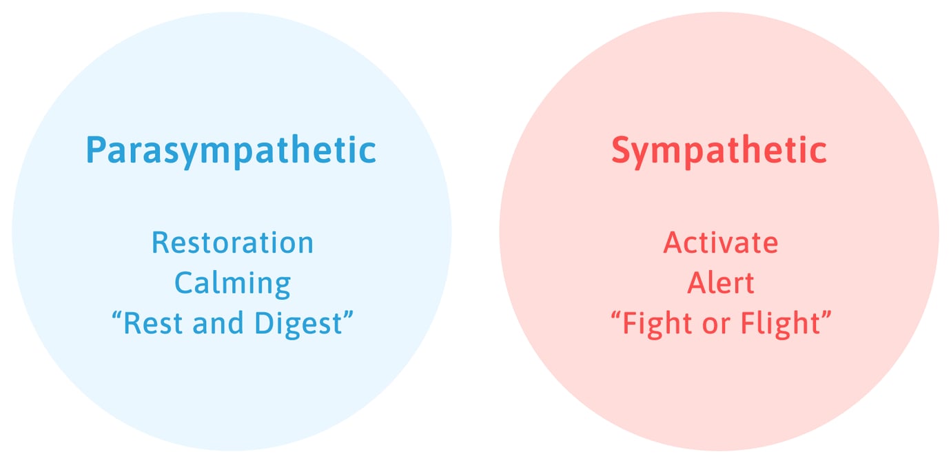 Yes, Long COVID Can Cause POTS and Dysautonomia