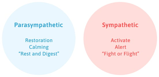 parasympathetic-vs-sympathetic-1-1