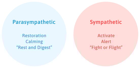 parasympathetic-vs-sympathetic-1-1