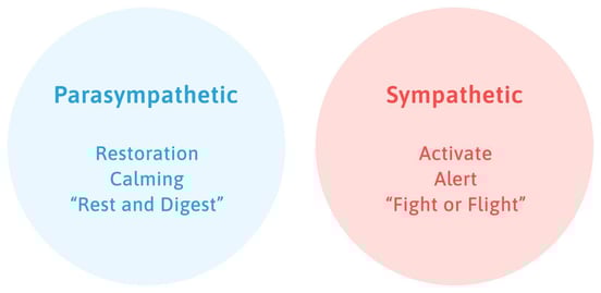 parasympathetic-vs-sympathetic-1