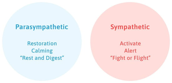 parasympathetic-vs-sympathetic-1