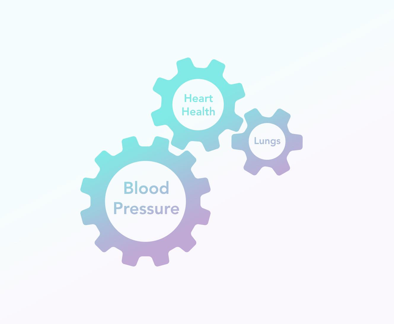 Blood Pressure, Heart Health and Lungs