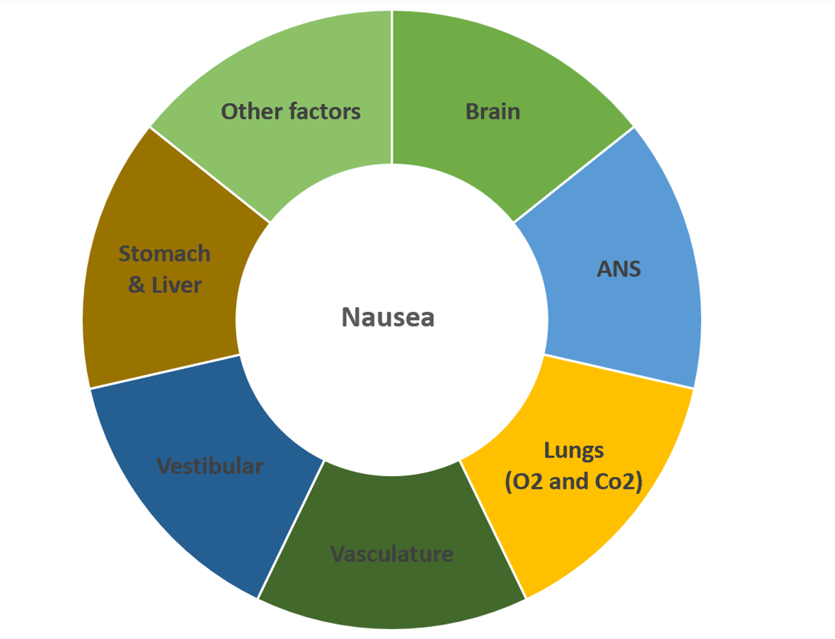 All of these systems can contribute to post-concussion nausea.