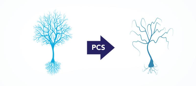 A diagram showing what PCS looks like.