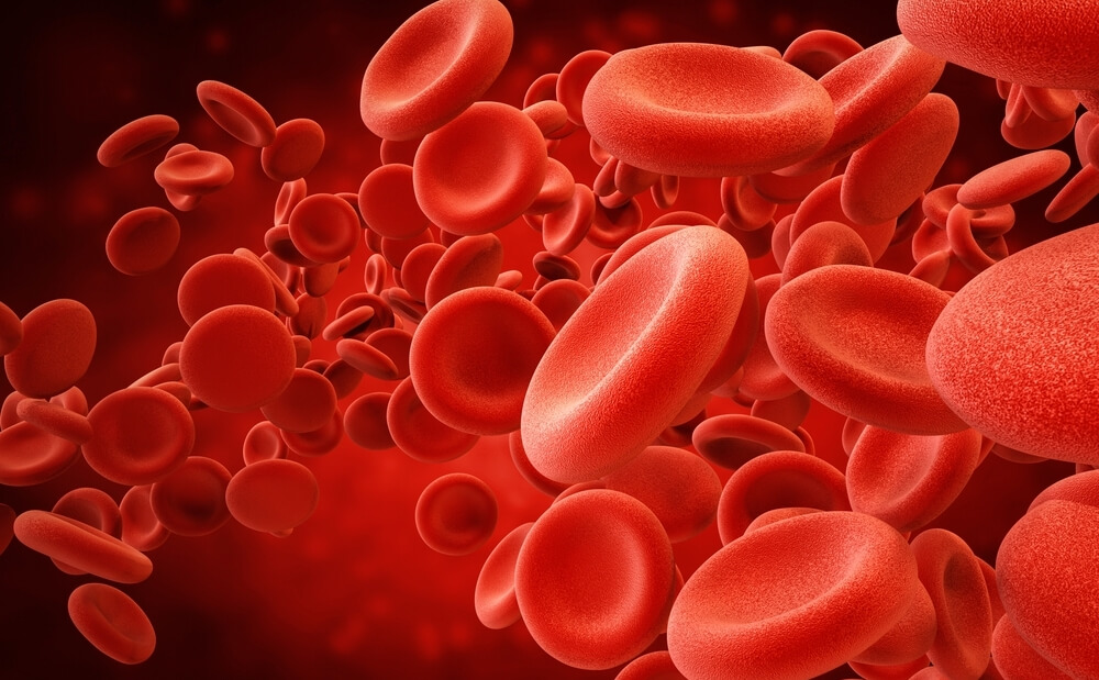 An image showing red blood cells