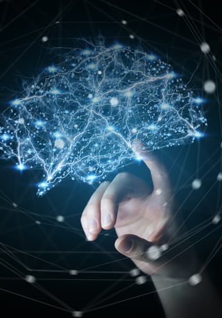 touching the brain to represent physical exercise making physiological changes in the brain