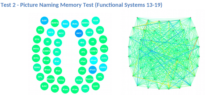 Picture naming memory test (functional systems 13-19) matrix. 