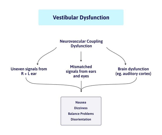 vestibular-therapy-for-concussion-symptoms-1