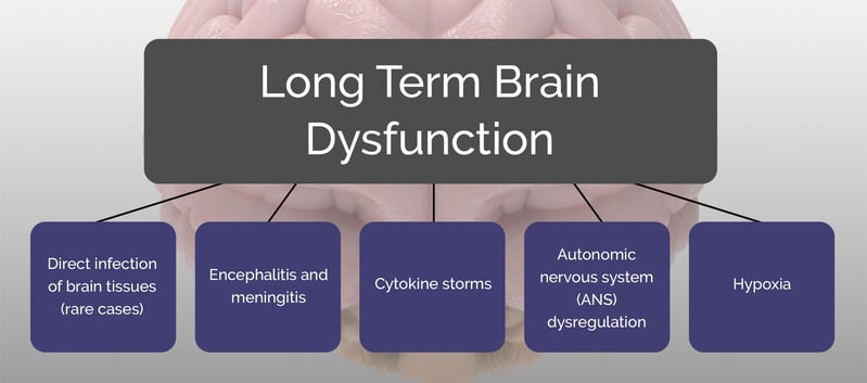 Bacterial and viral infection (including COVID-19) can lead to encephalitis, meningitis, cytokine storms, ANS dysregulation, and/or hypoxia, all of which can result in long-term brain dysfunction.