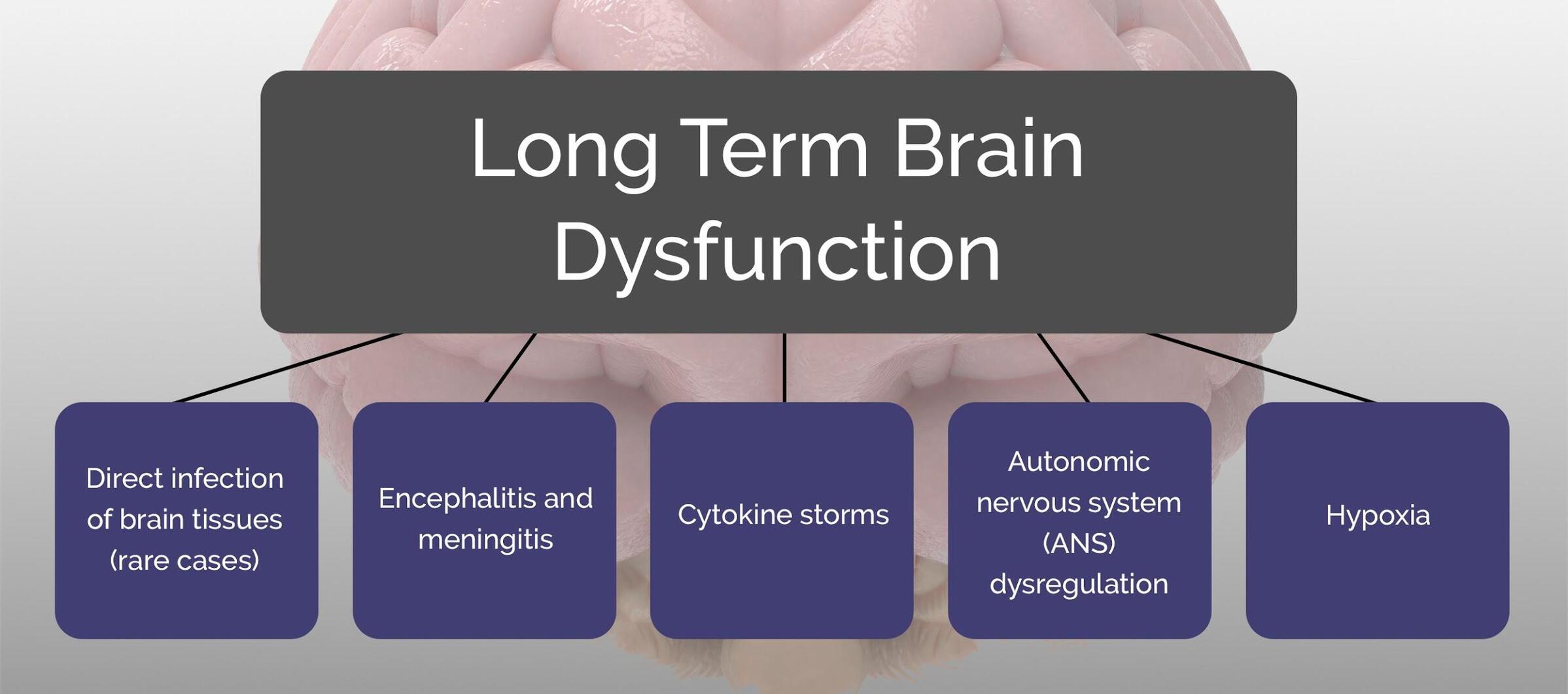 Sore Brain The Long Term Effects of Encephalitis: How to Recover | Cognitive FX