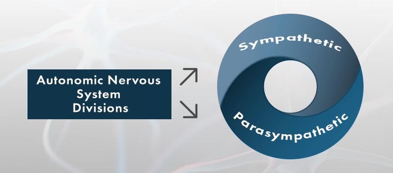 viral-encephalitis-long-term-effects-on-the-brain-2